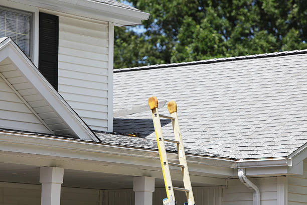 Best Steel Siding Installation  in Carrboro, NC